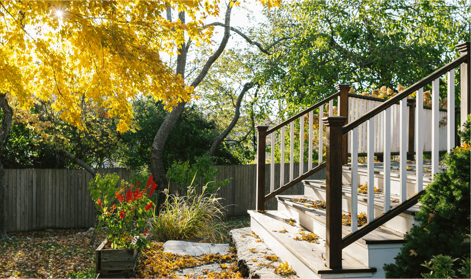 Wooden porch steps with plater boxes covered in leaves.